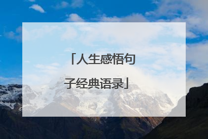 人生感悟句子经典语录