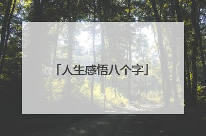 人生感悟八个字