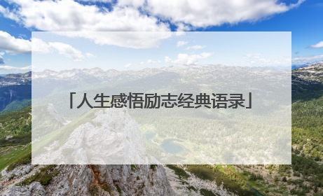 人生感悟励志经典语录