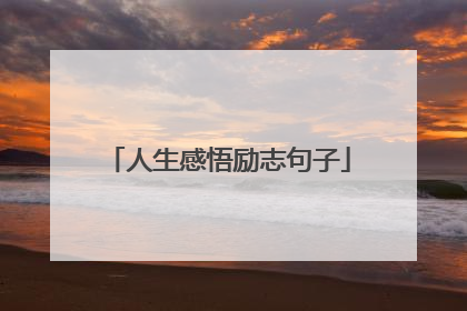 人生感悟励志句子