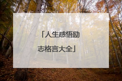 人生感悟励志格言大全