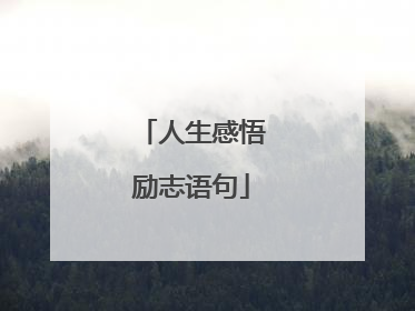 人生感悟励志语句
