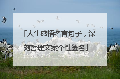 人生感悟名言句子,深刻哲理文案个性签名