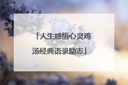人生感悟心灵鸡汤经典语录励志