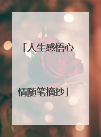 人生感悟心情随笔摘抄