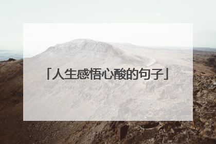 人生感悟心酸的句子