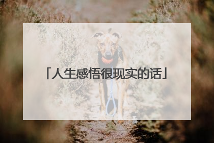 人生感悟很现实的话