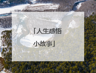 人生感悟小故事
