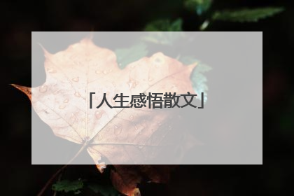 人生感悟散文