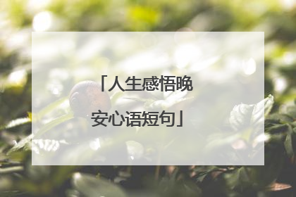 人生感悟晚安心语短句