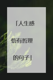 人生感悟有哲理的句子