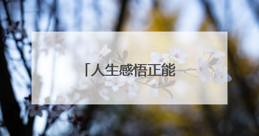 人生感悟正能量励志的句子