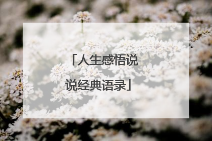 人生感悟说说经典语录