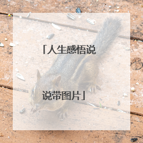 人生感悟说说带图片