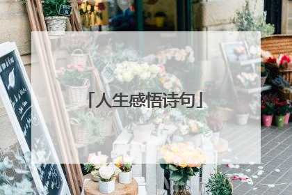 人生感悟诗句
