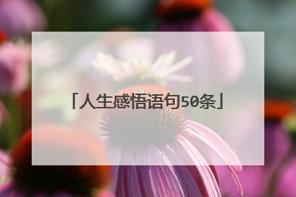 人生感悟语句50条