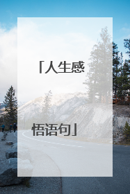 人生感悟语句