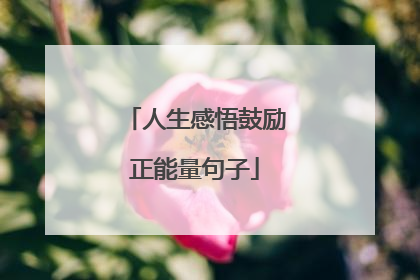 人生感悟鼓励正能量句子