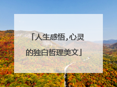 人生感悟,心灵的独白哲理美文