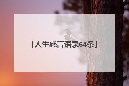 人生感言语录64条
