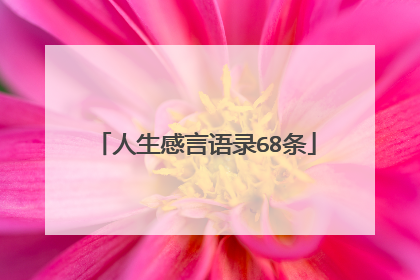 人生感言语录68条