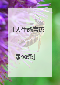 人生感言语录90条