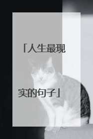 人生最现实的句子