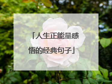 人生正能量感悟的经典句子