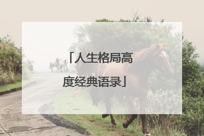 人生格局高度经典语录