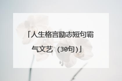 人生格言励志短句霸气文艺 (30句)
