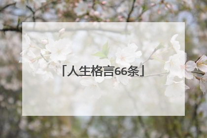 人生格言66条