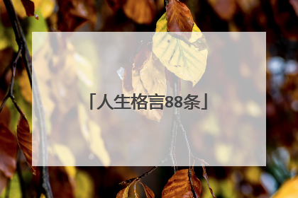 人生格言88条