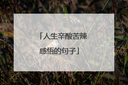 人生辛酸苦辣感悟的句子