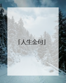 人生金句