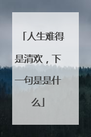 人生难得是清欢，下一句是是什么