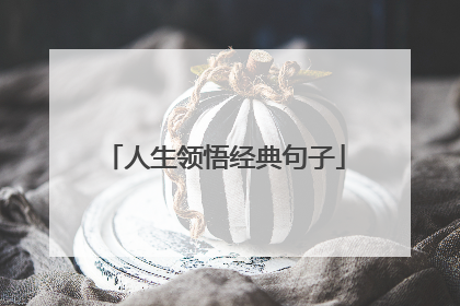 人生领悟经典句子