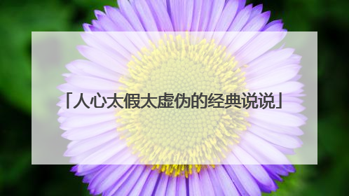 人心太假太虚伪的经典说说
