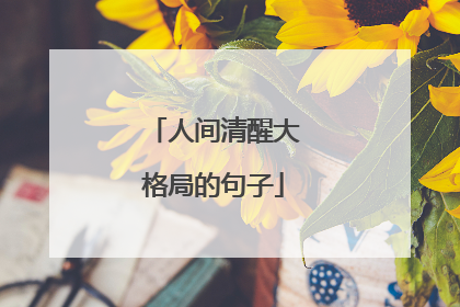 人间清醒大格局的句子
