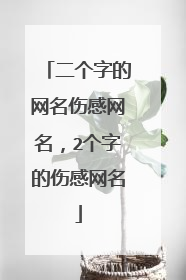 二个字的网名伤感网名,2个字的伤感网名