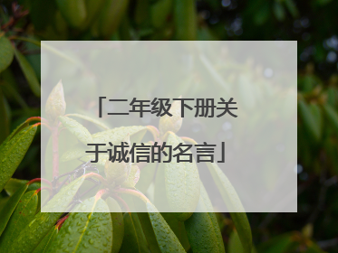 二年级下册关于诚信的名言