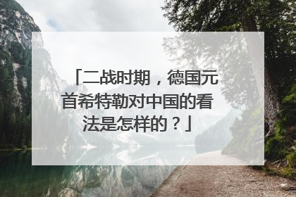 二战时期,德国元首希特勒对中国的看法是怎样的?