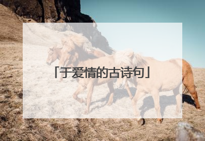 于爱情的古诗句