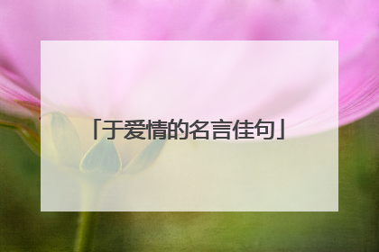 于爱情的名言佳句