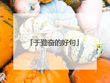 于勤奋的好句
