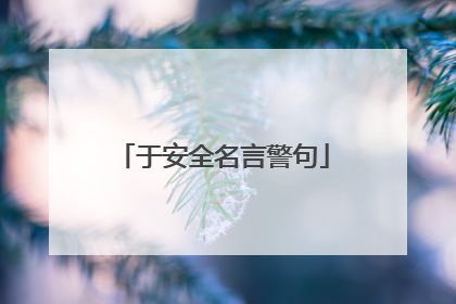 于安全名言警句
