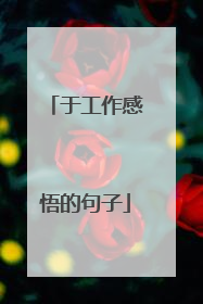 于工作感悟的句子