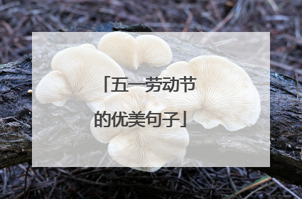 五一劳动节的优美句子