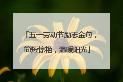 五一劳动节励志金句，简短惊艳，温暖阳光
