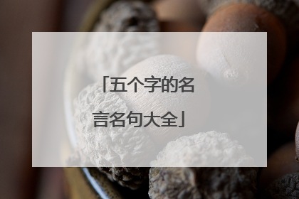 五个字的名言名句大全