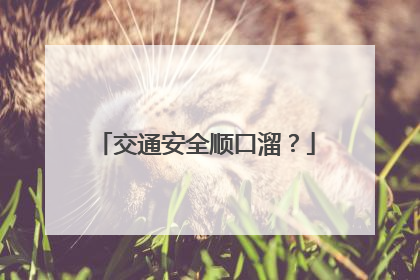 交通安全顺口溜?